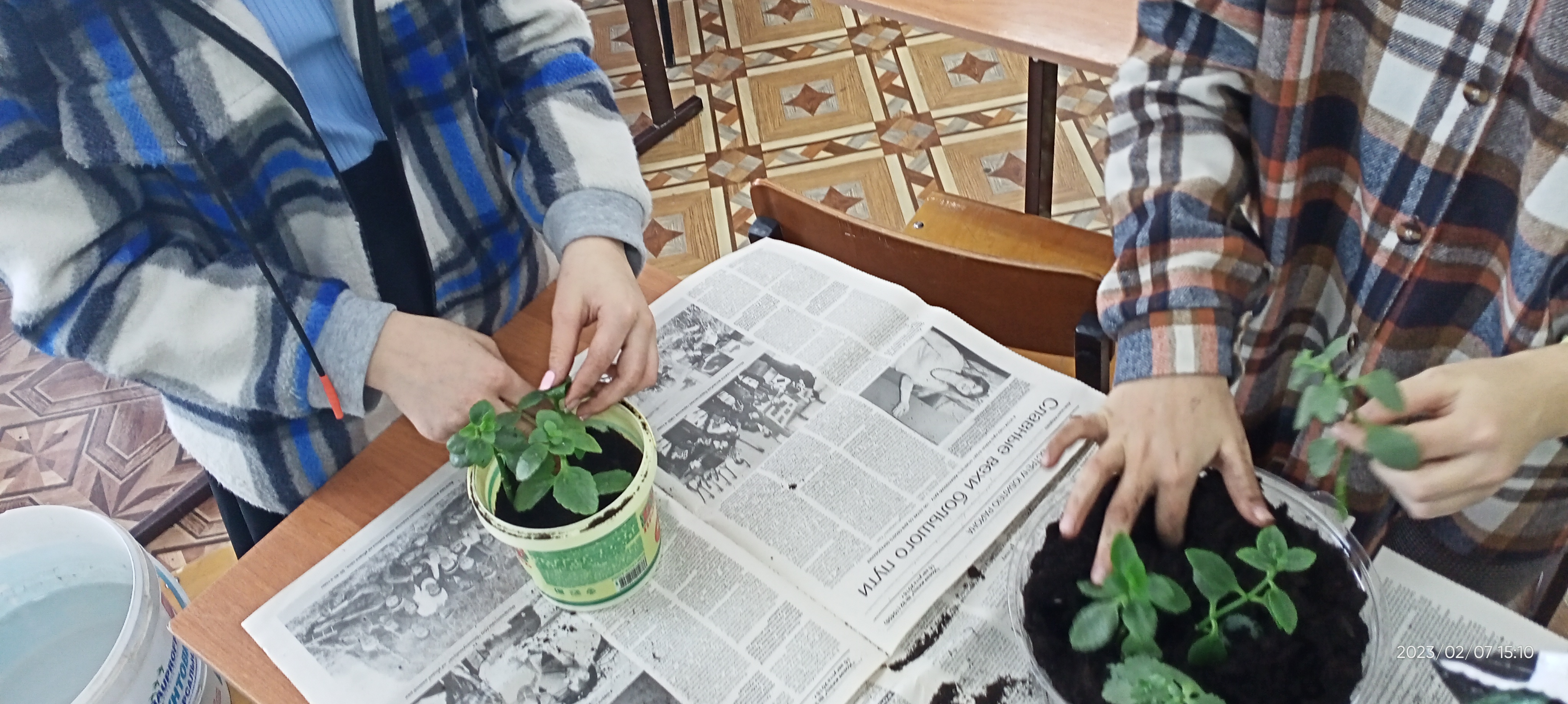 Практическая деятельность по Дополнительной общеобразовательной программе естественнонаучной направленности   «Растениеводство» дарит красоту школе.